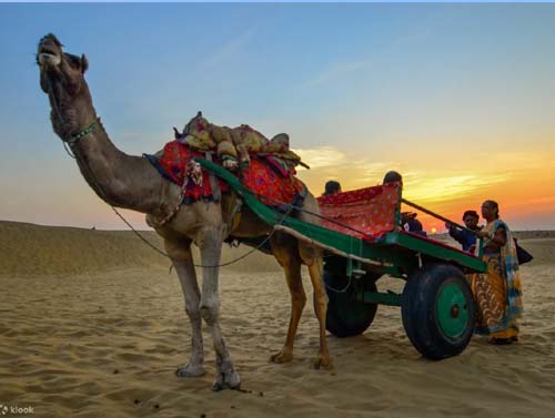 Jaisalmer Thar Desert Tour Package